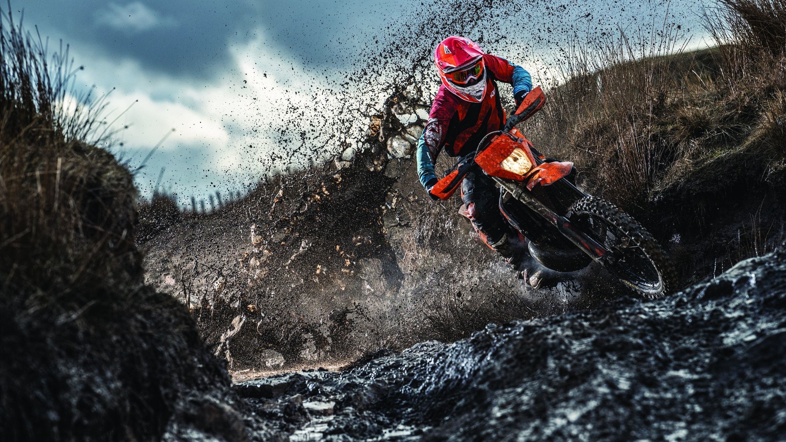 开云体育下载-末节暴走！范弗利特化身外科医生，开拓者客场强势拆解奇才