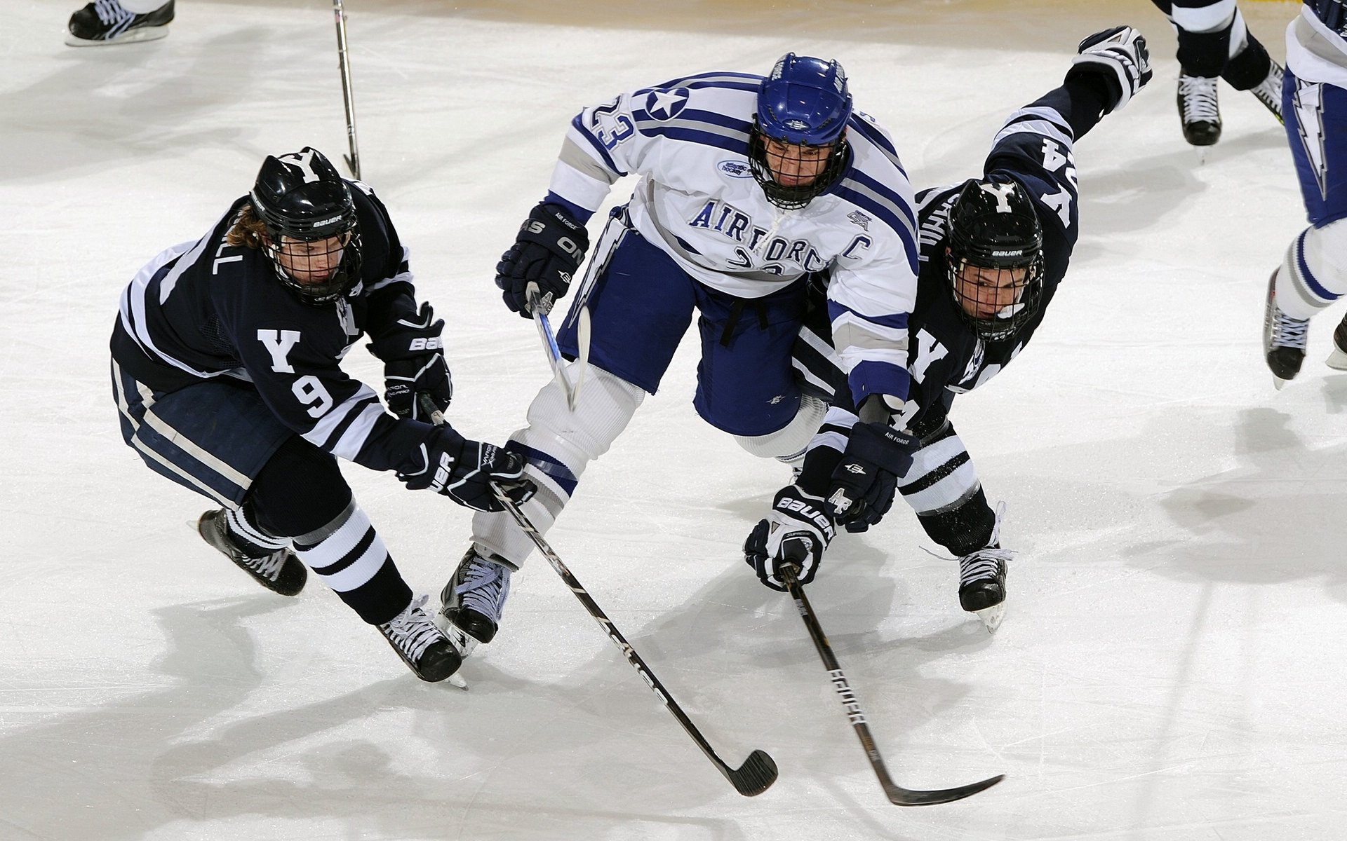 奇才末节逆袭辽宁队，福克斯化身关键先生锁定胜局